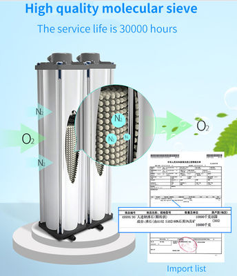 Clinical Healthcare Fda อนุมัติ 10 Ltr Oxygen Concentrator