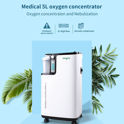 เสียงรบกวนต่ำ Medical FDA 5 ลิตร Concentrator ออกซิเจน Atomizer